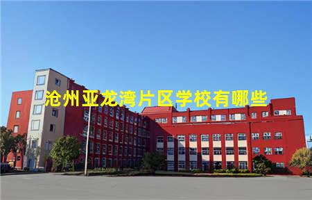 沧州亚龙湾片区学校有哪些